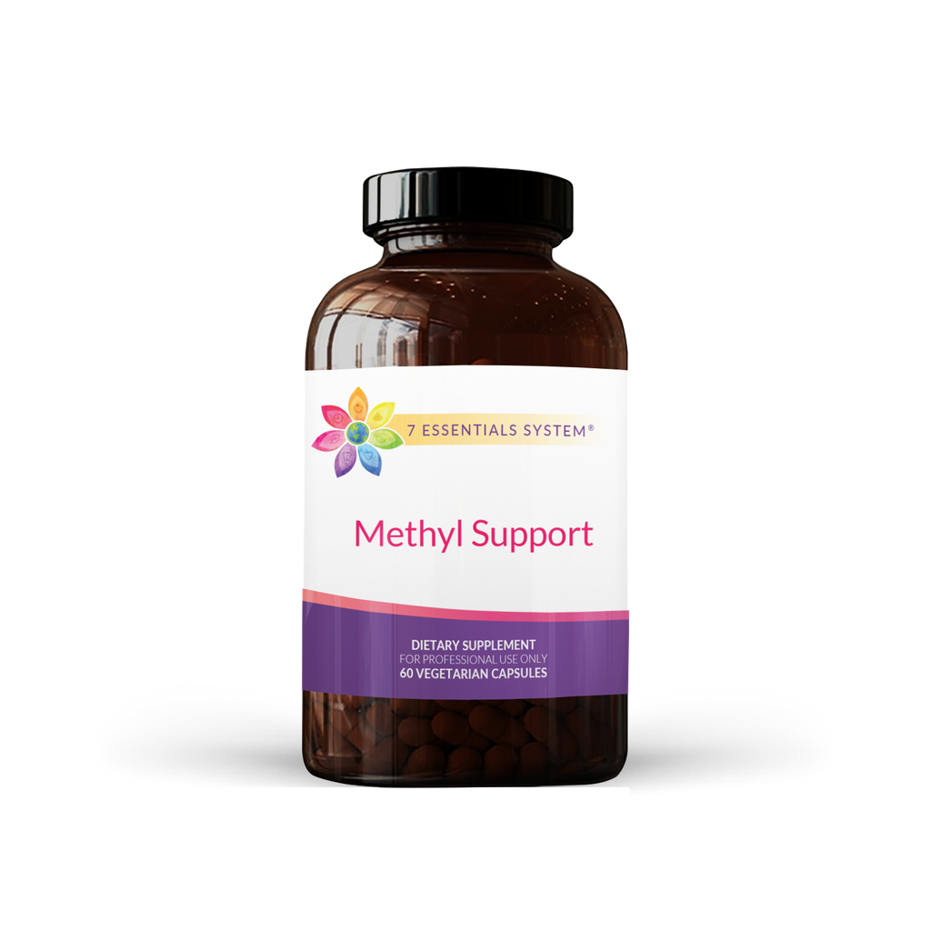 Methyl Support